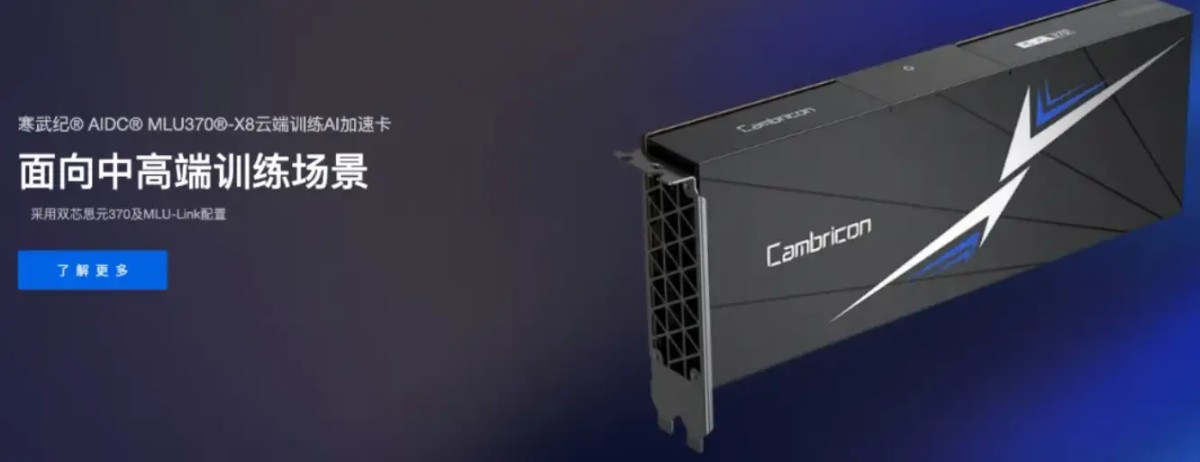 寒王寒武纪,是泡沫还是真金?